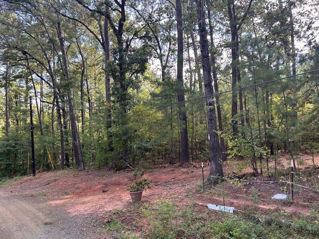 0.61 acres in Texas County - photo 6