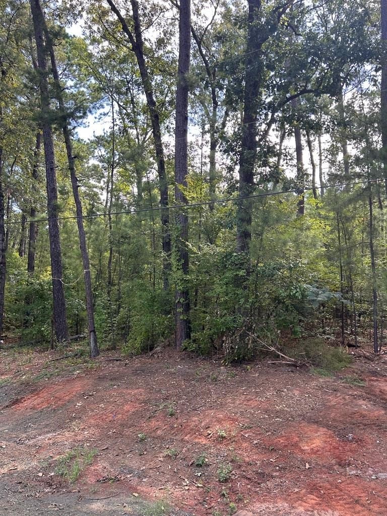 0.61 acres in Texas County