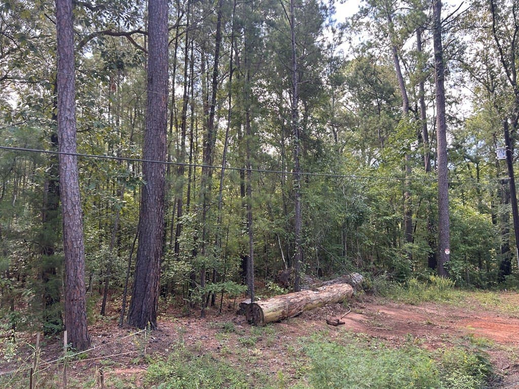 0.61 acres in Texas County featured view