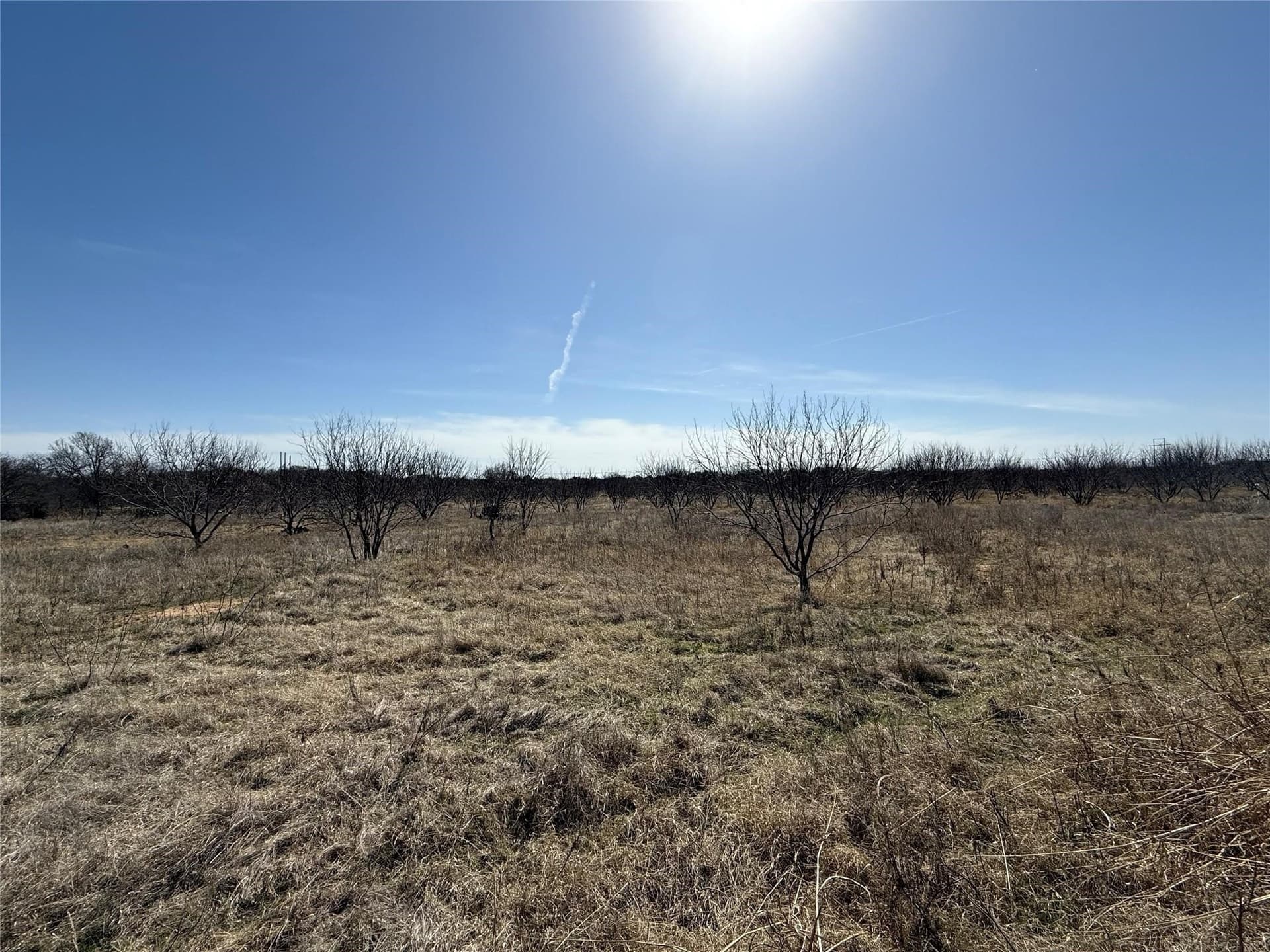 23 acres in Brown County gallery image 2