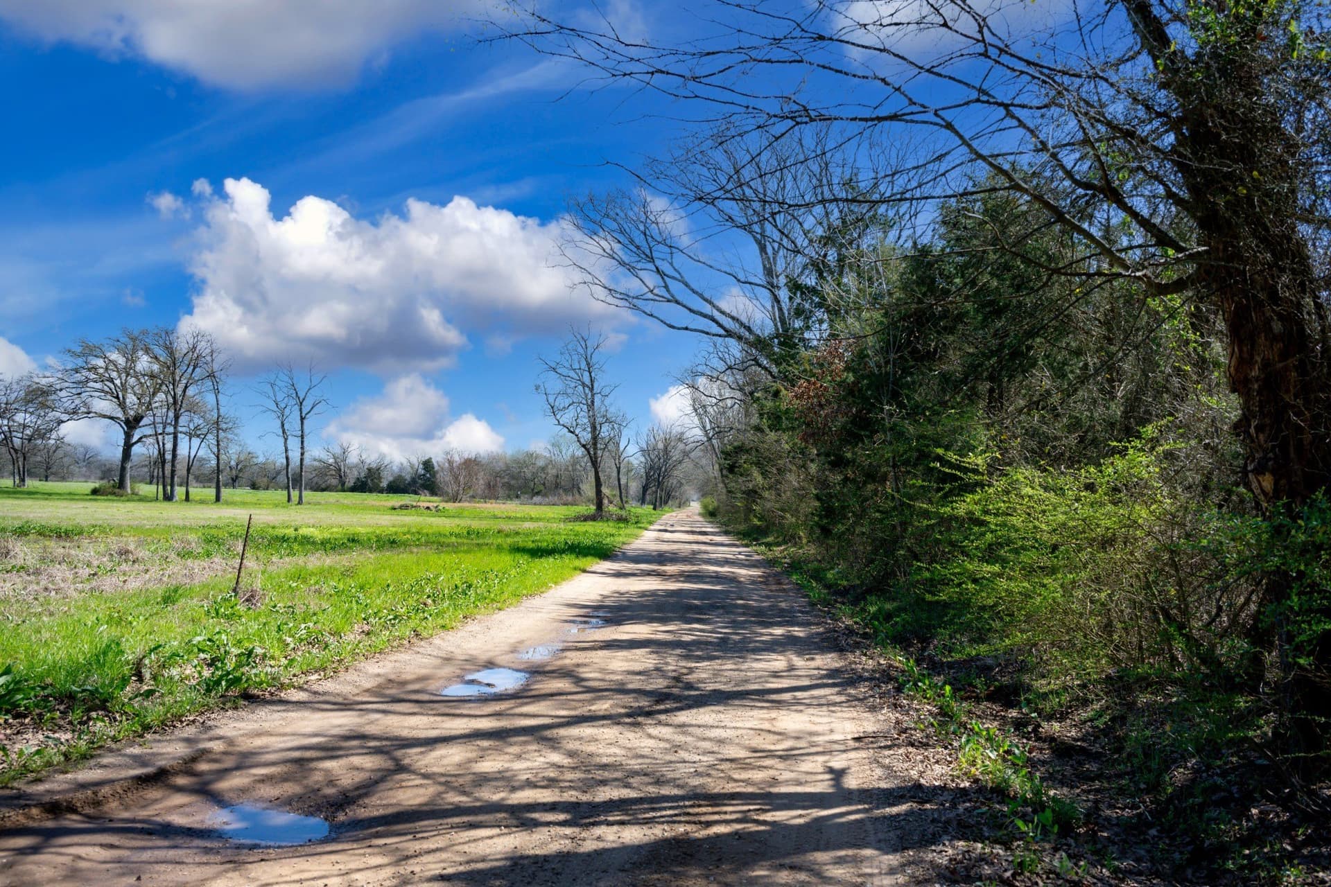 25 acres in Hopkins County featured view