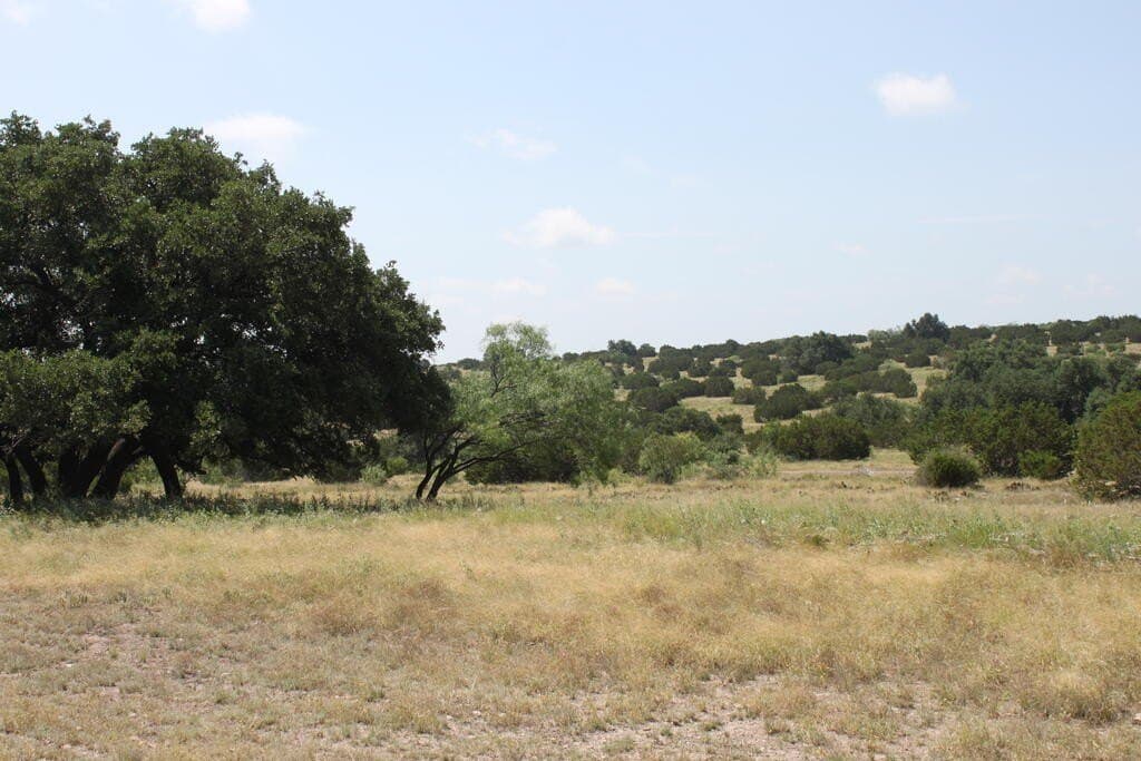 75 acres in Sutton County - photo 13
