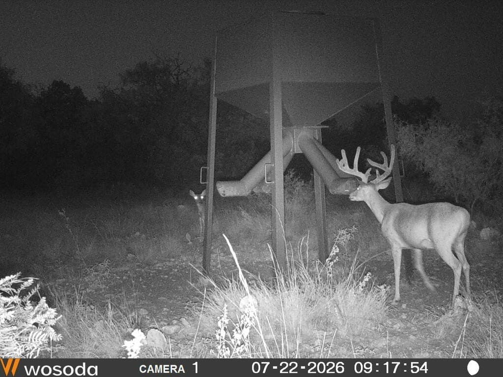 75 acres in Sutton County - photo 17