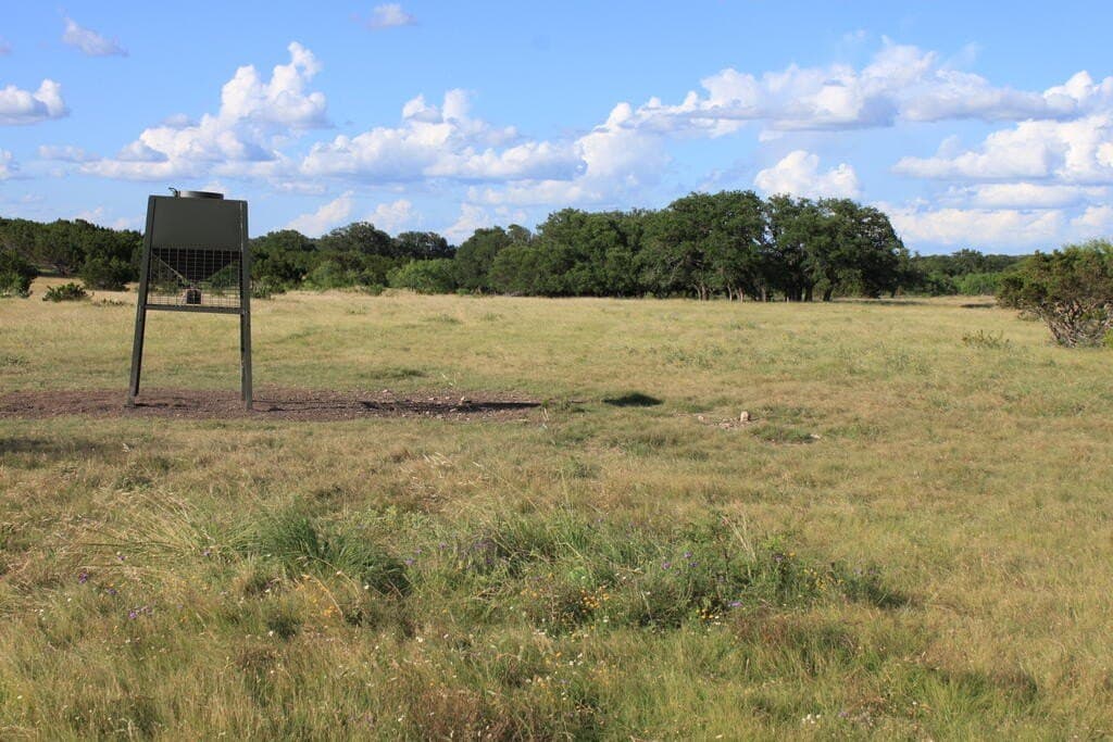 75 acres in Sutton County - photo 4