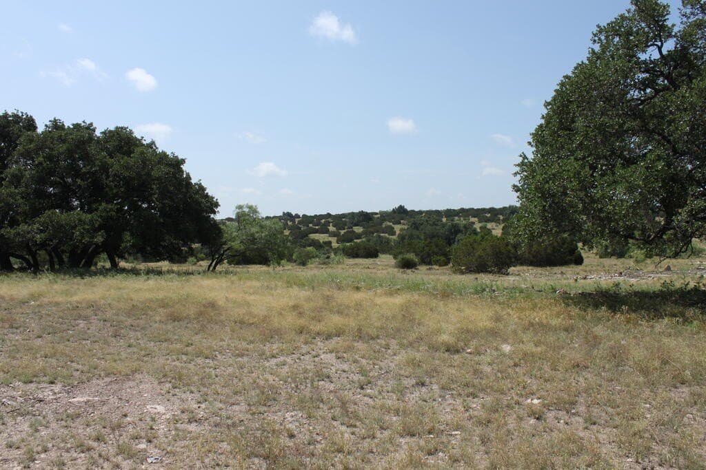 75 acres in Sutton County - photo 12