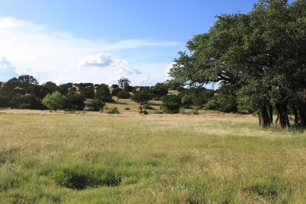 75 acres in Sutton County - photo 5
