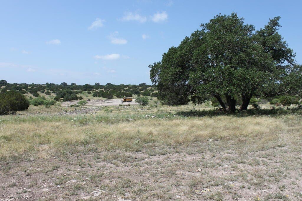 75 acres in Sutton County - photo 9