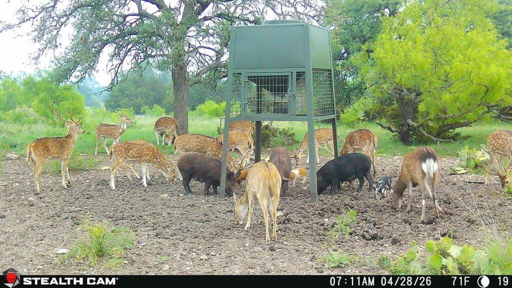 75 acres in Sutton County - photo 15