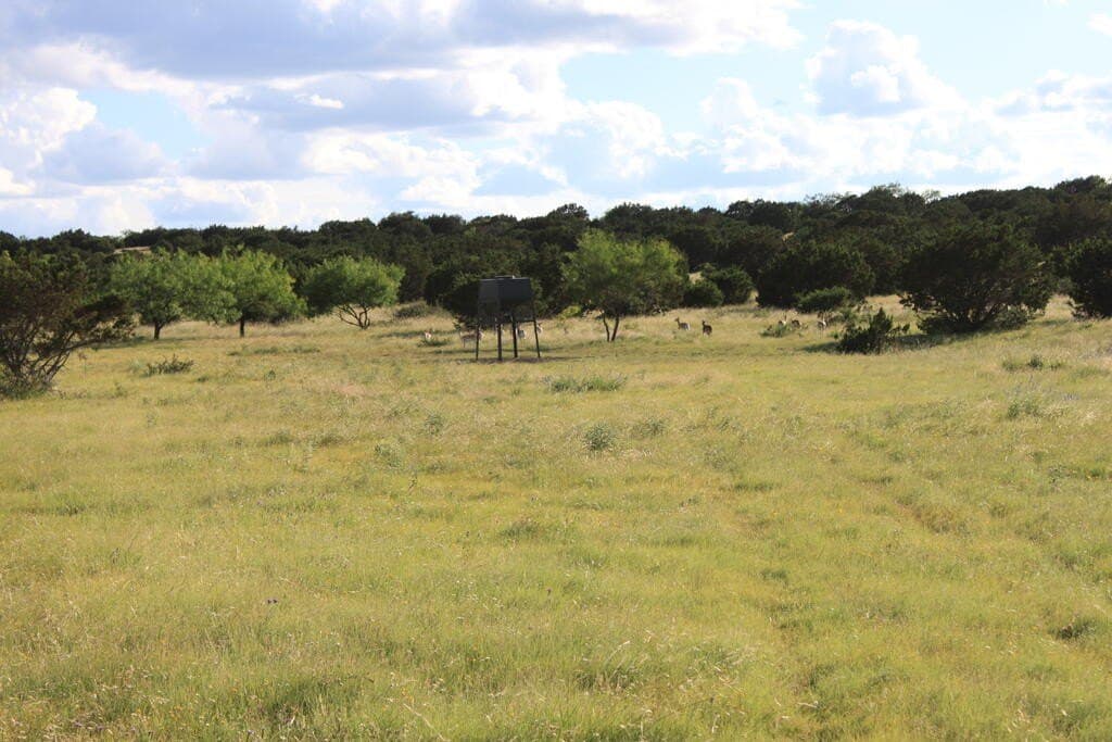 75 acres in Sutton County - photo 3