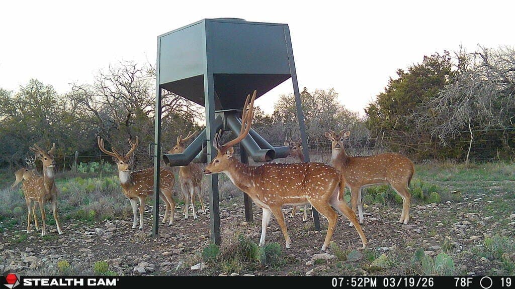 75 acres in Sutton County - photo 14
