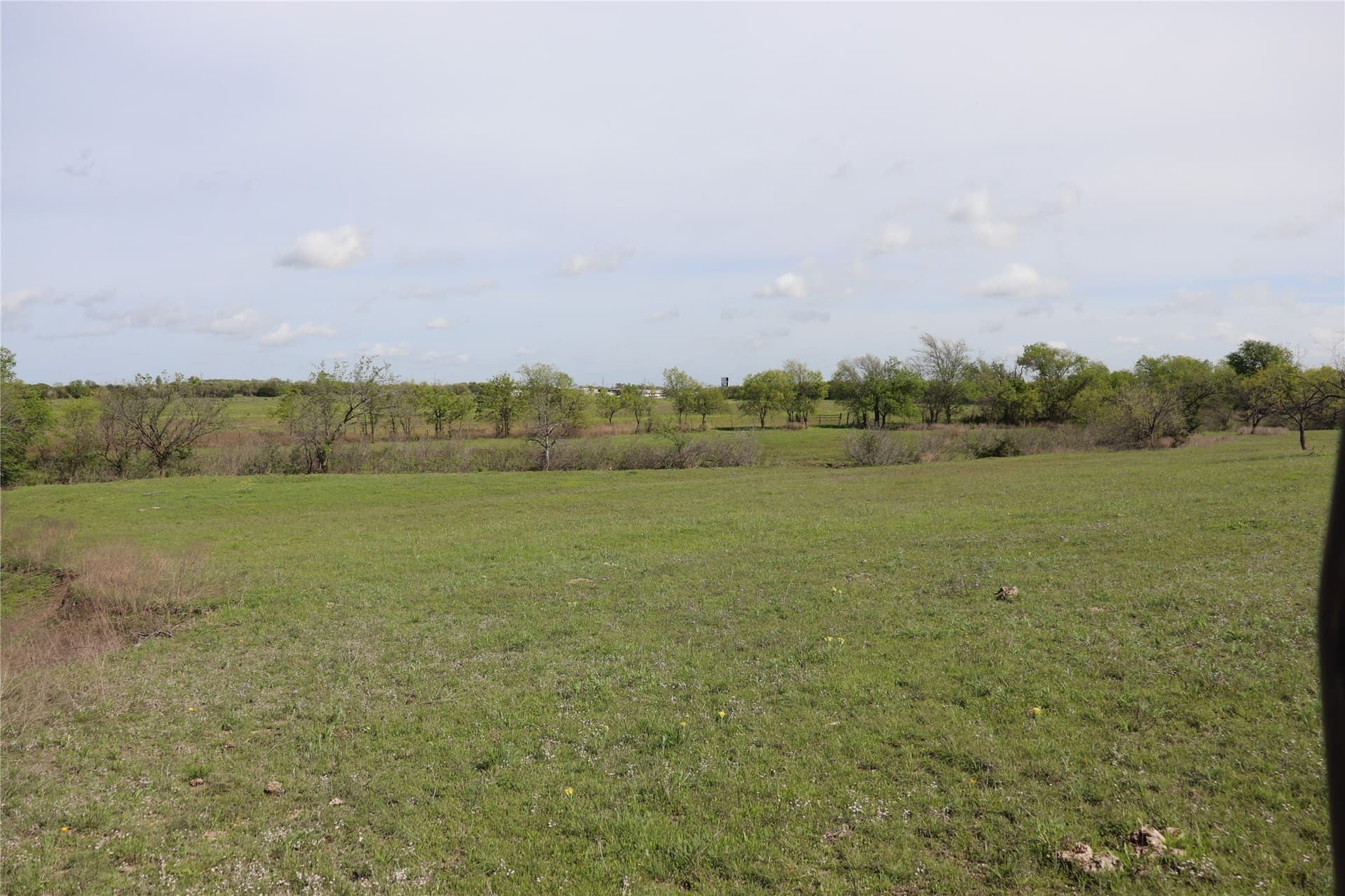 44 acres in Johnson County - photo 16