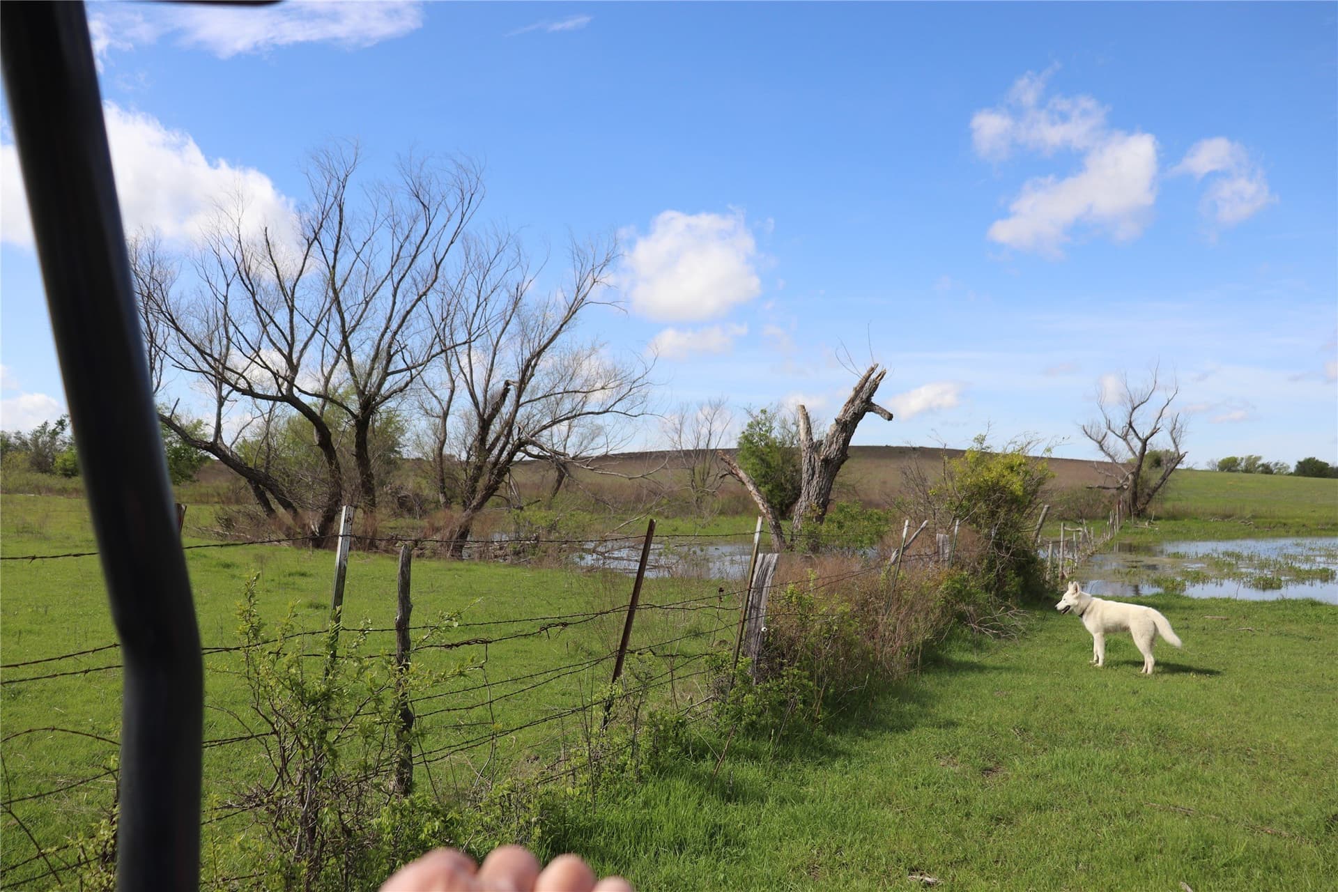 44 acres in Johnson County - photo 15