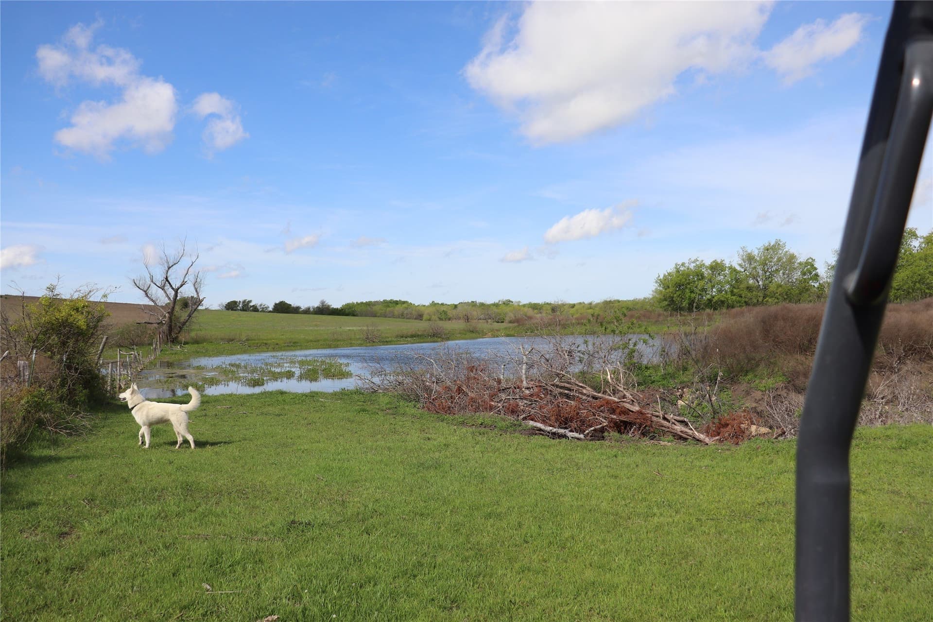 44 acres in Johnson County - photo 7