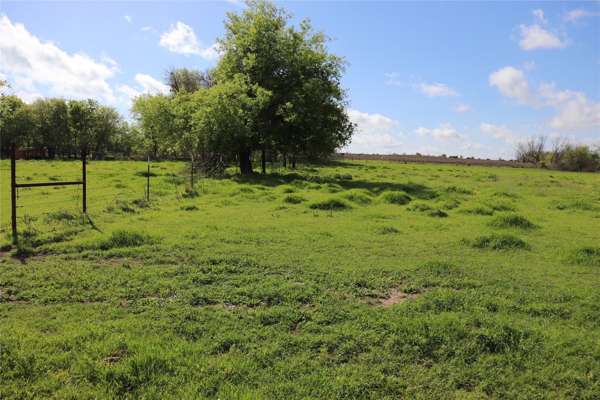 44 acres in Johnson County gallery image 4
