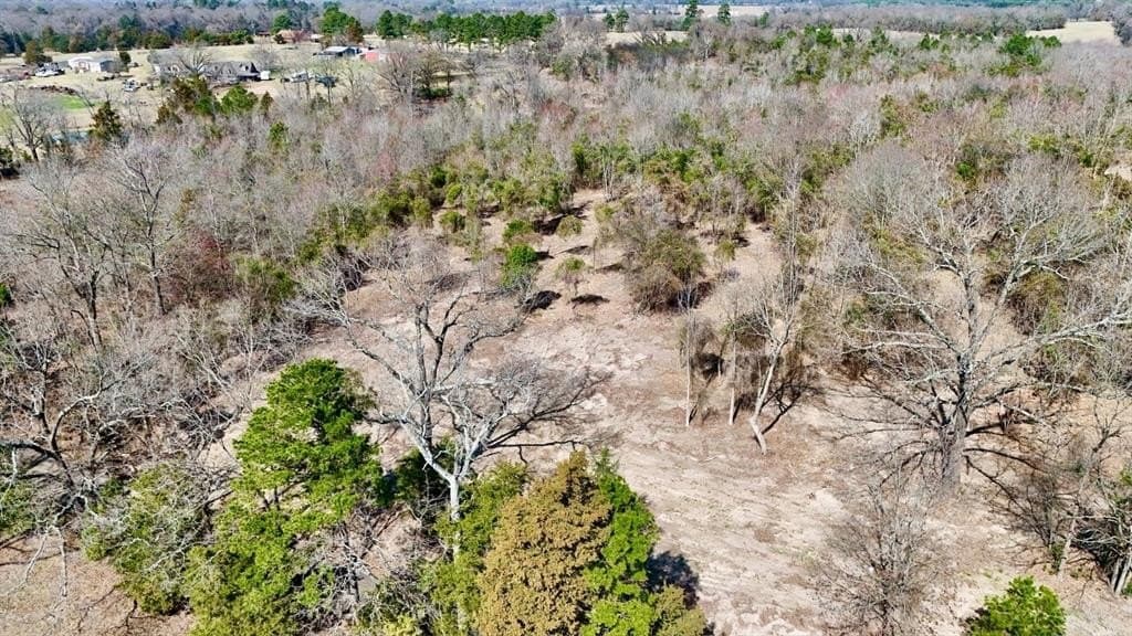 3.53 acres in Camp County gallery image 4