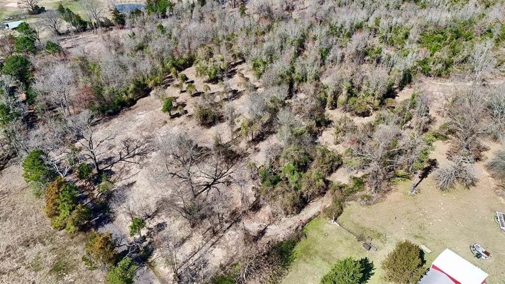 3.53 acres in Camp County gallery image 3