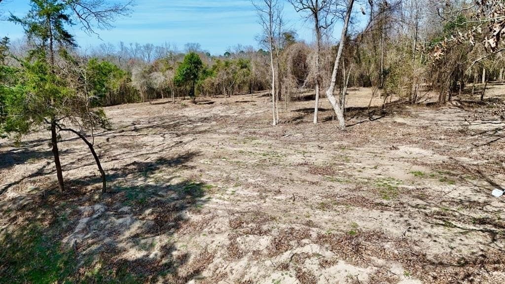 3.53 acres in Camp County featured view