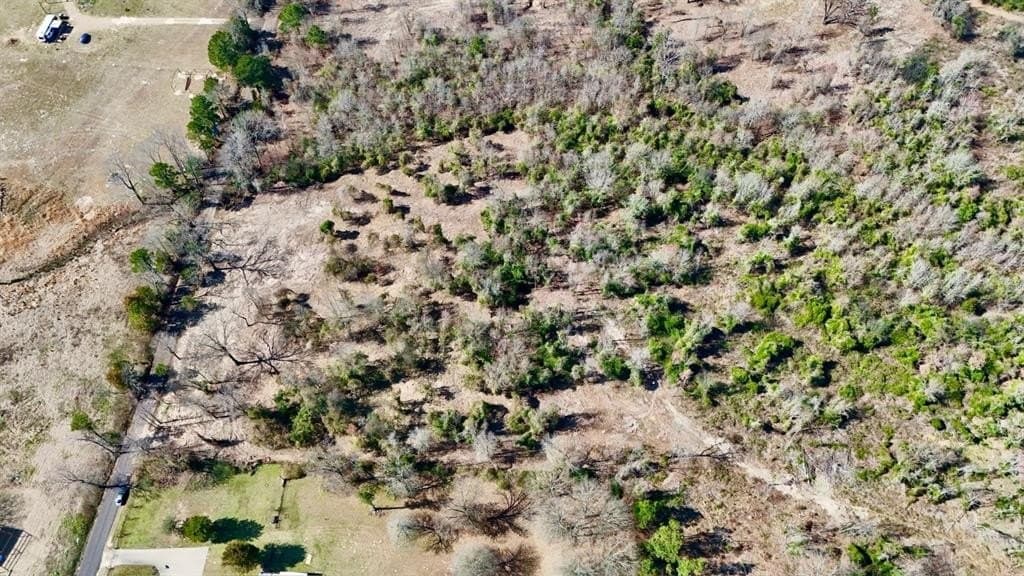 3.53 acres in Camp County gallery image 2