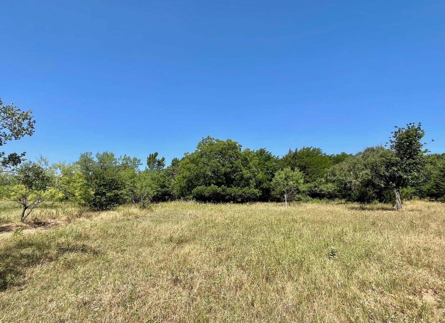 16.1 acres in Wise County - photo 35