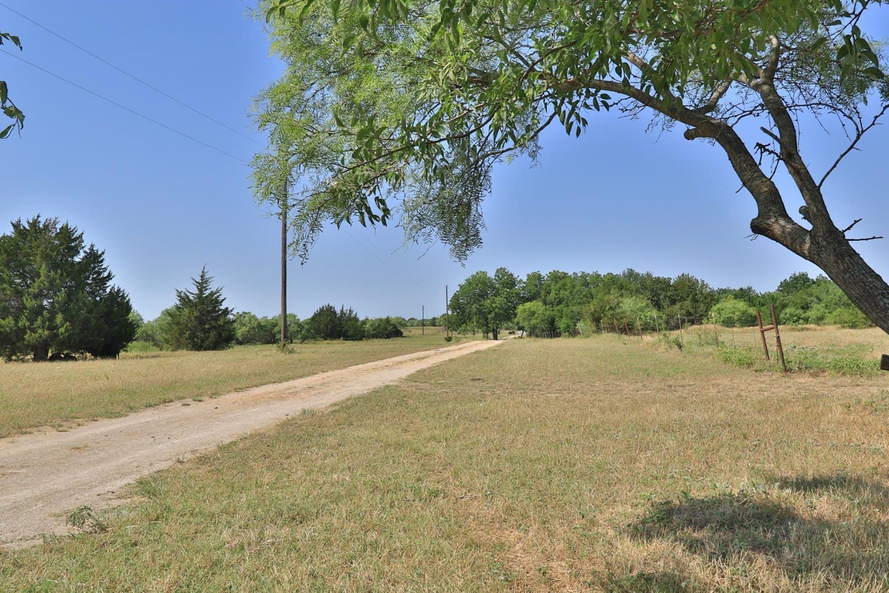 16.1 acres in Wise County - photo 9