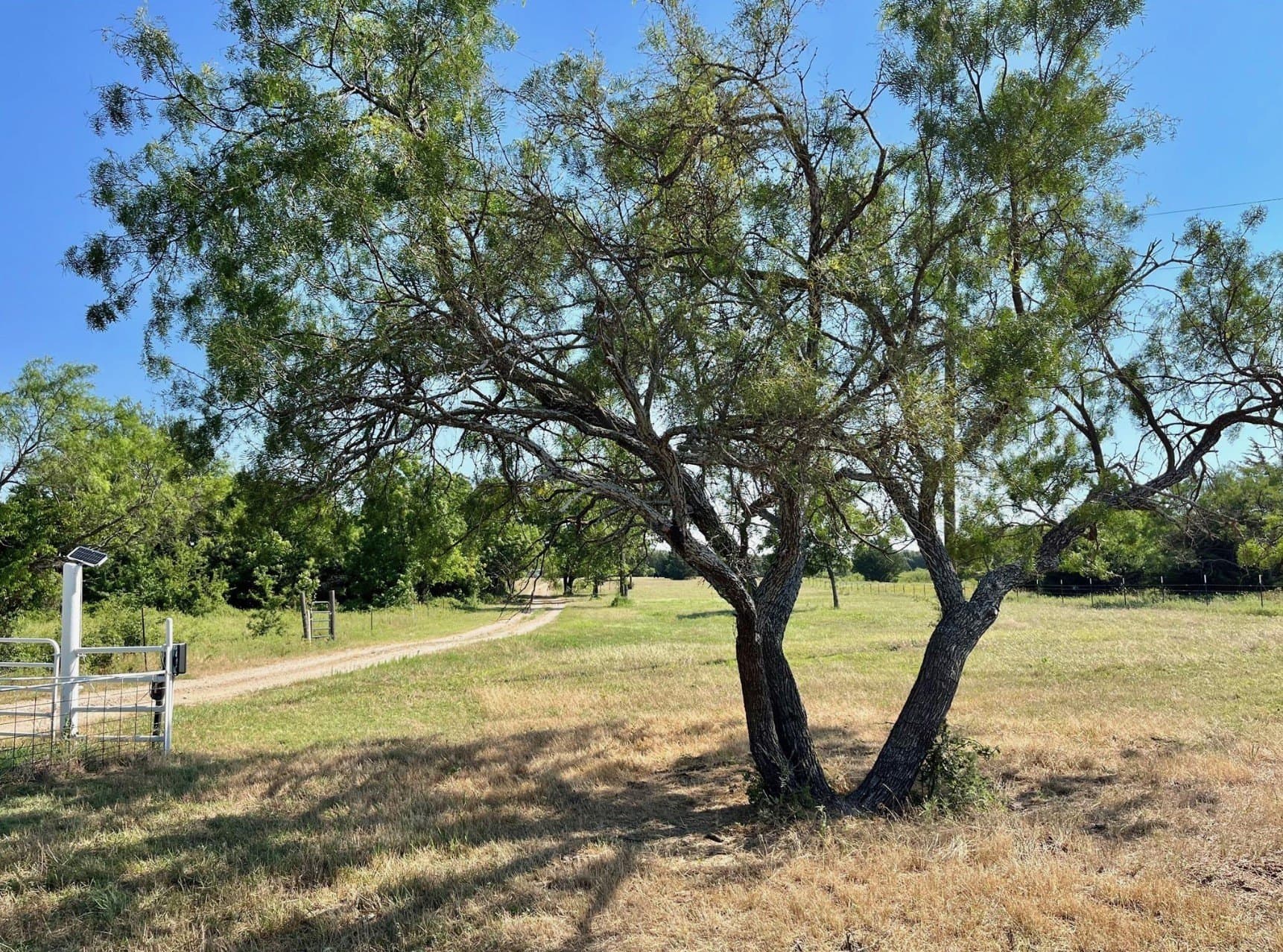 16.1 acres in Wise County - photo 11