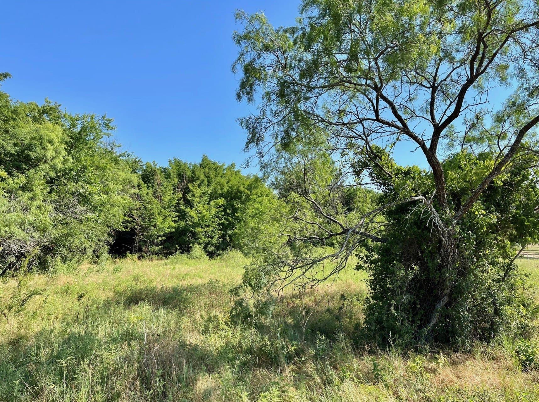16.1 acres in Wise County - photo 30