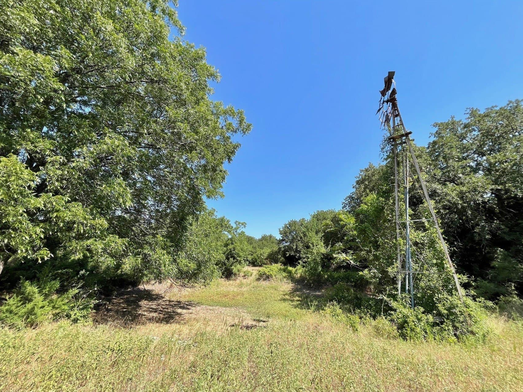 16.1 acres in Wise County - photo 36