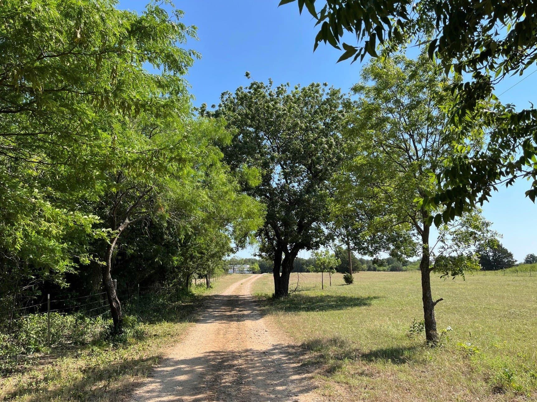 16.1 acres in Wise County - photo 4