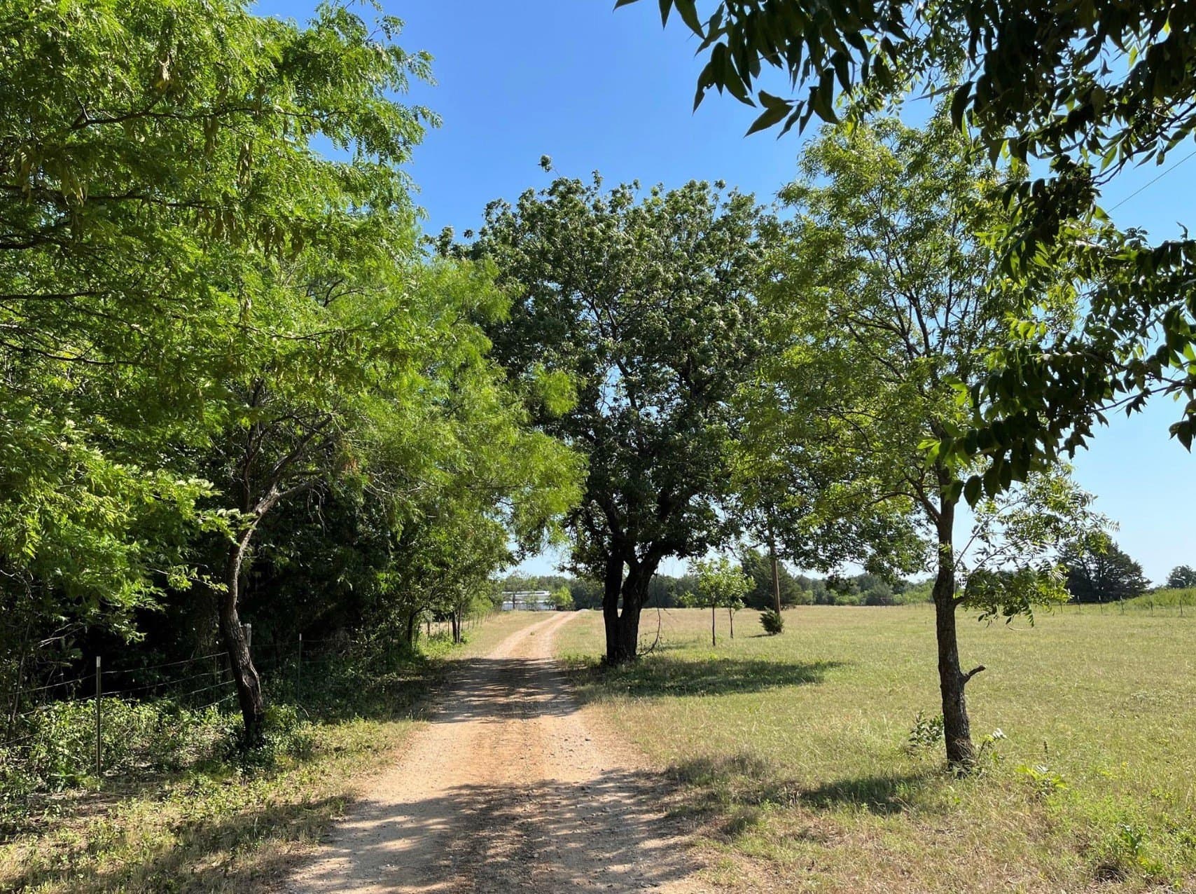 16.1 acres in Wise County - photo 38