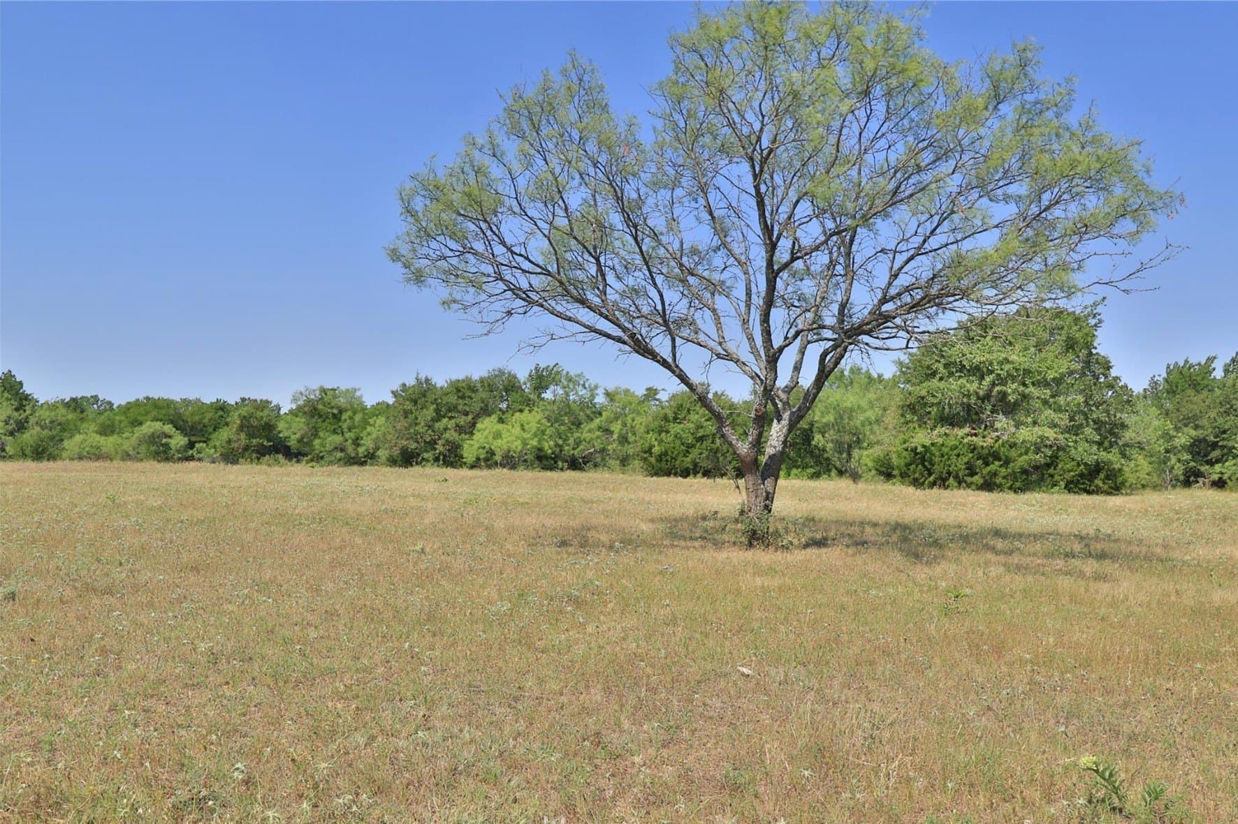 16.1 acres in Wise County - photo 10