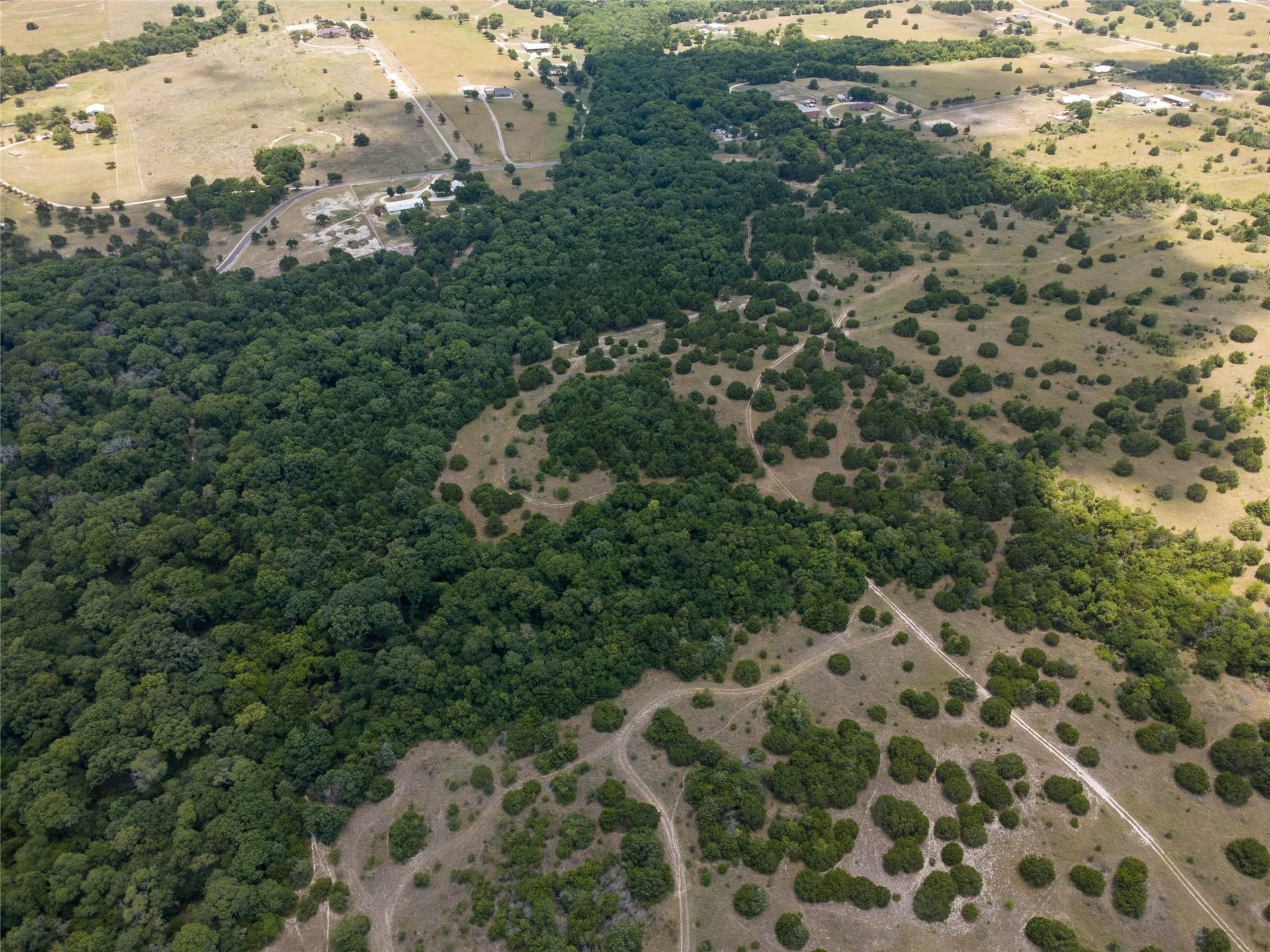 218 acres in Ellis County - photo 17