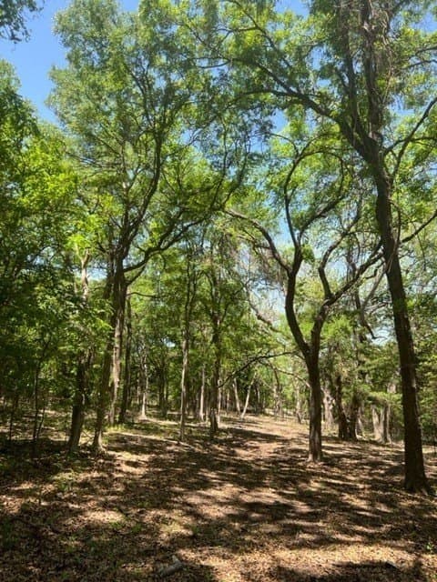 218 acres in Ellis County - photo 9