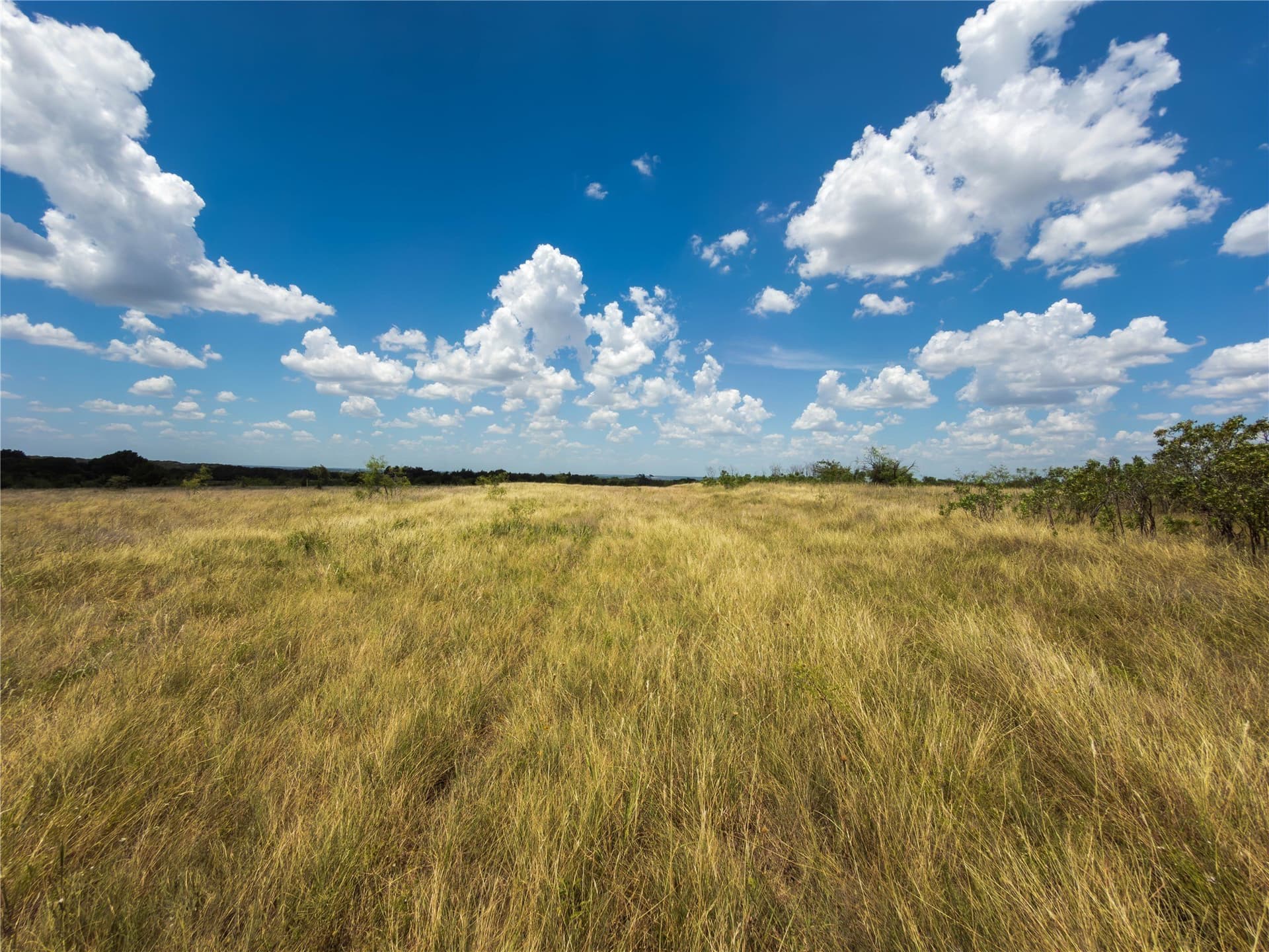 218 acres in Ellis County - photo 5