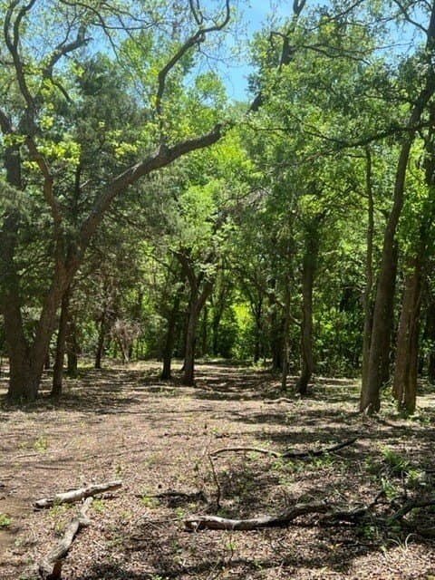218 acres in Ellis County - photo 7