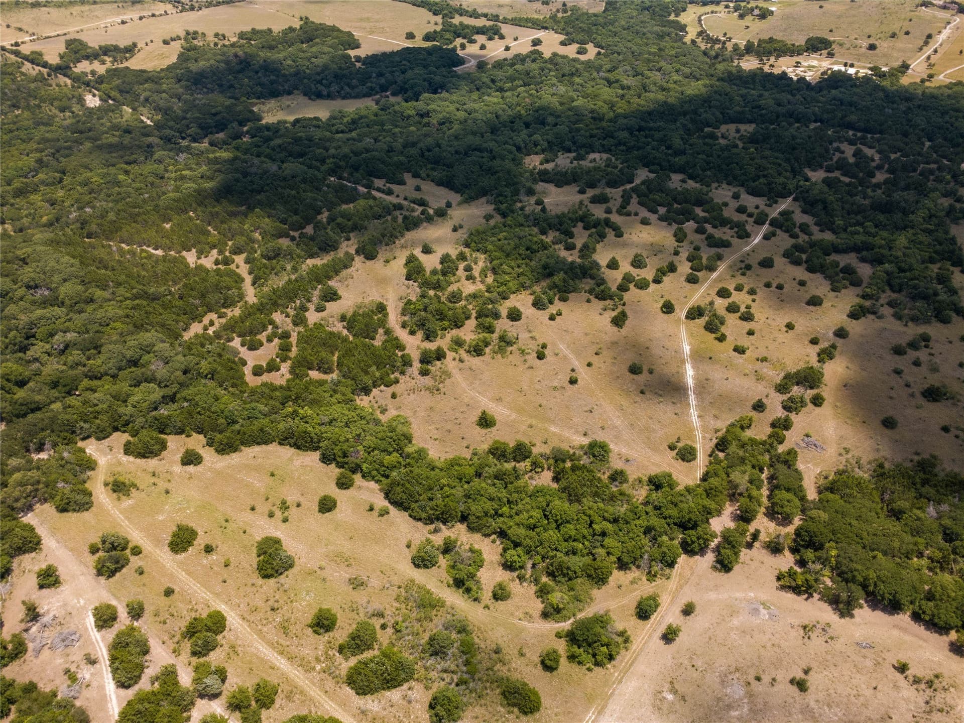 218 acres in Ellis County - photo 16
