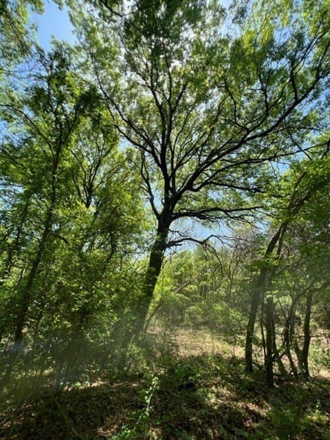 218 acres in Ellis County - photo 2