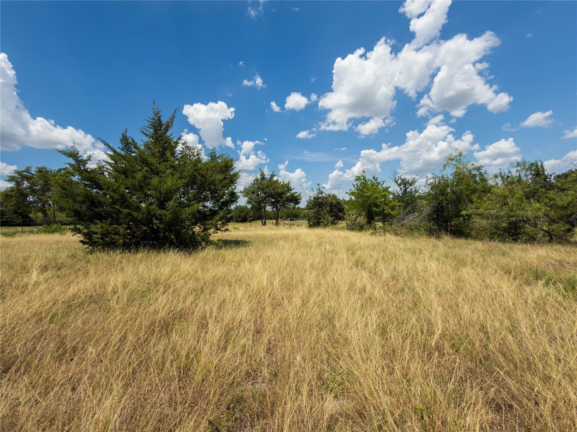 218 acres in Ellis County - photo 6