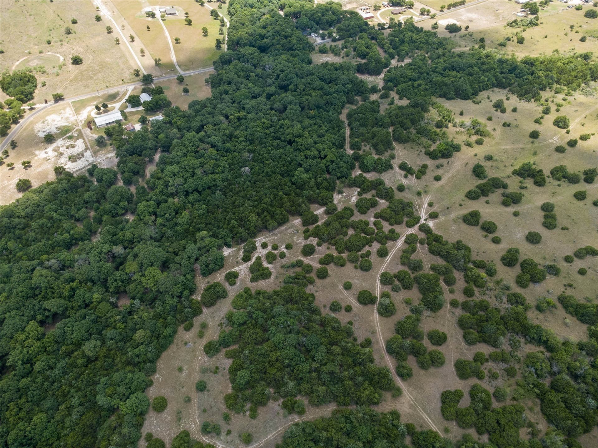 218 acres in Ellis County - photo 20