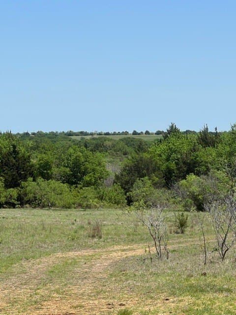 218 acres in Ellis County - photo 4