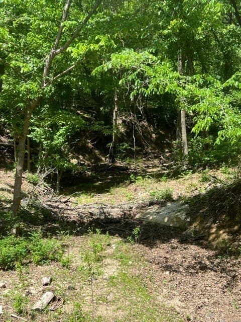 218 acres in Ellis County - photo 3