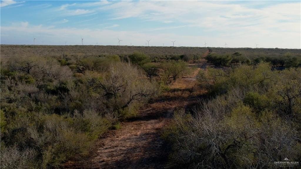582 acres in Hidalgo County - photo 10