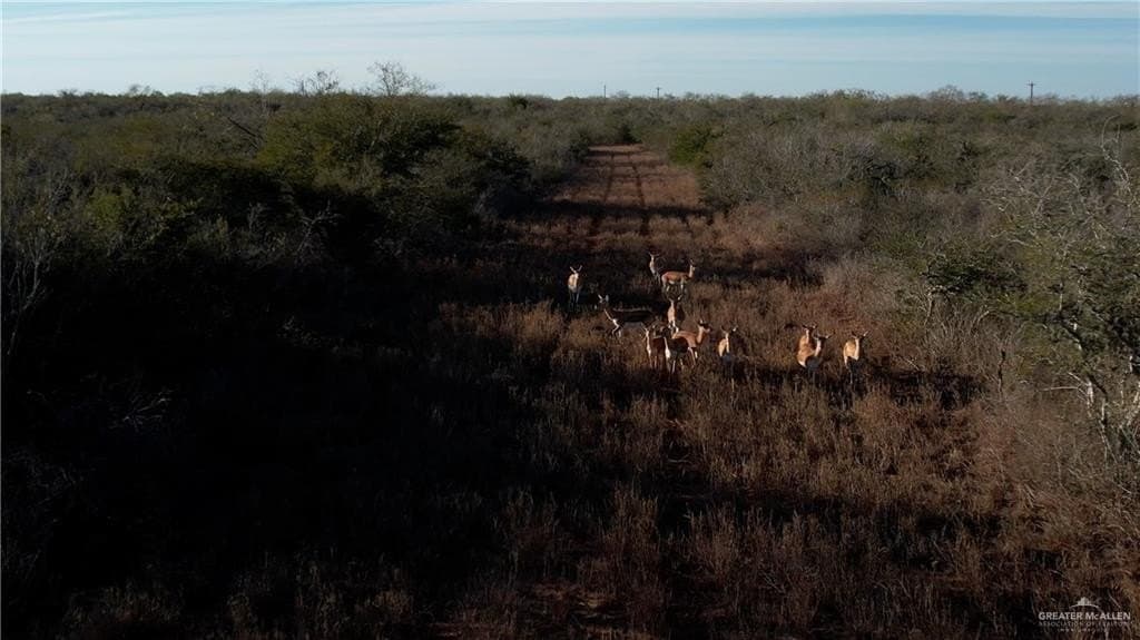582 acres in Hidalgo County gallery image 2