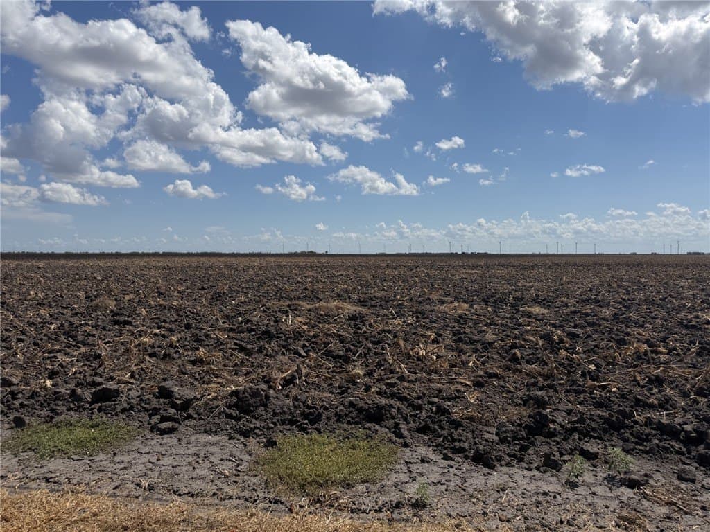 202.61 acres in San Patricio County - photo 2