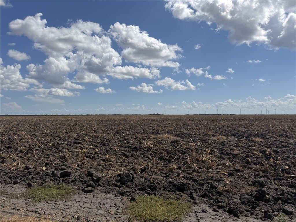 202.61 acres in San Patricio County - photo 4
