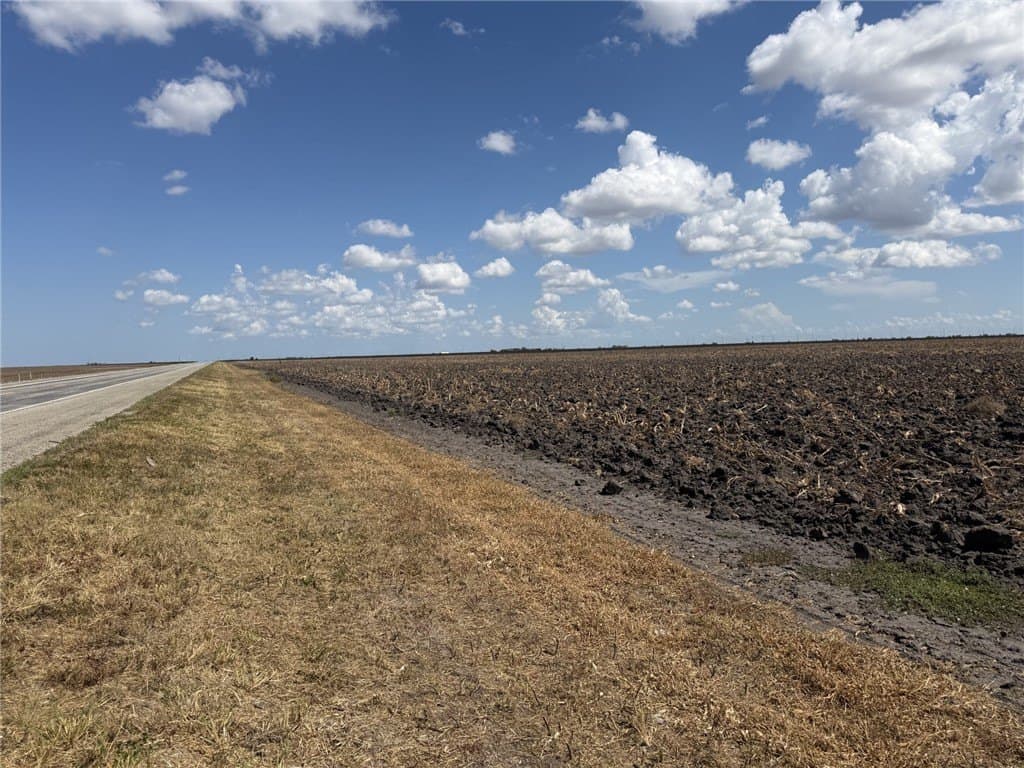 202.61 acres in San Patricio County - photo 5