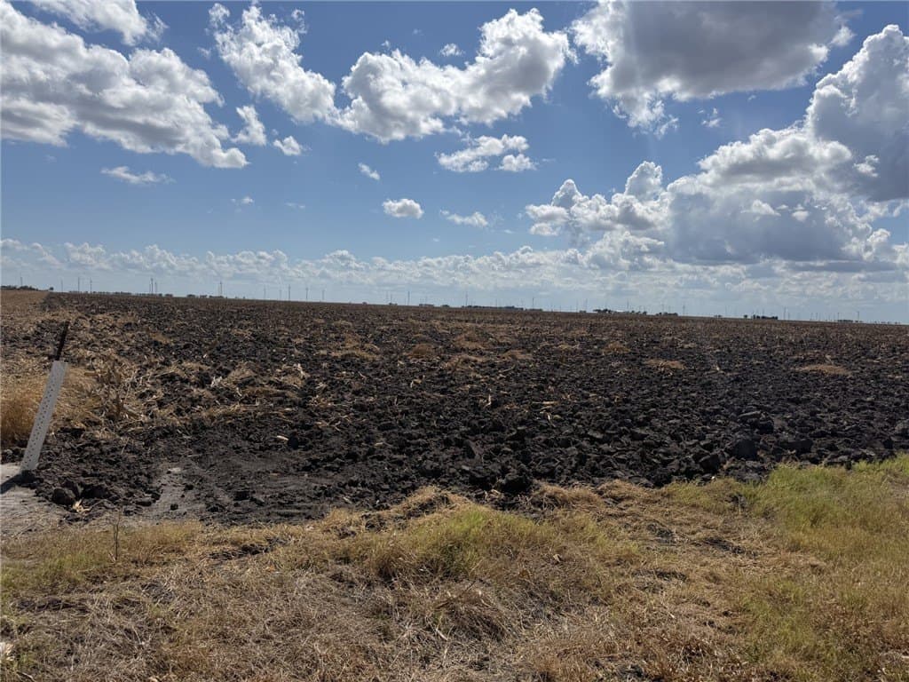202.61 acres in San Patricio County - photo 10