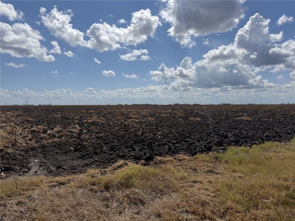 202.61 acres in San Patricio County - photo 8
