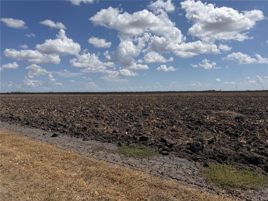 202.61 acres in San Patricio County - photo 11
