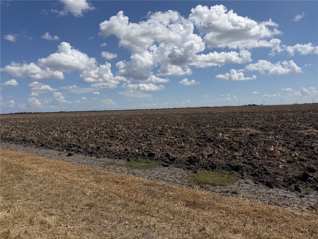 202.61 acres in San Patricio County - photo 6