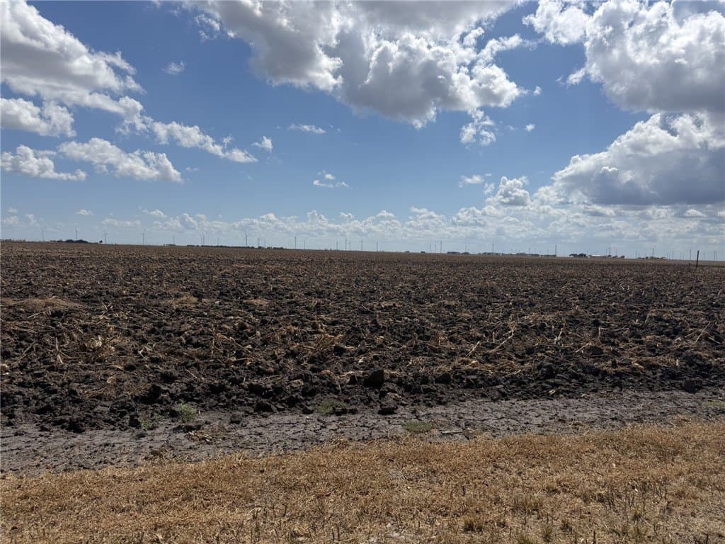 202.61 acres in San Patricio County - photo 7